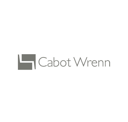 Cabot-wren